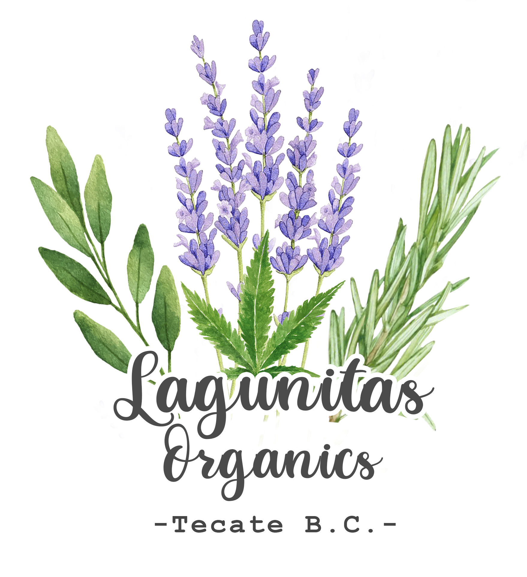 Lagunitas Organics Sanctuary