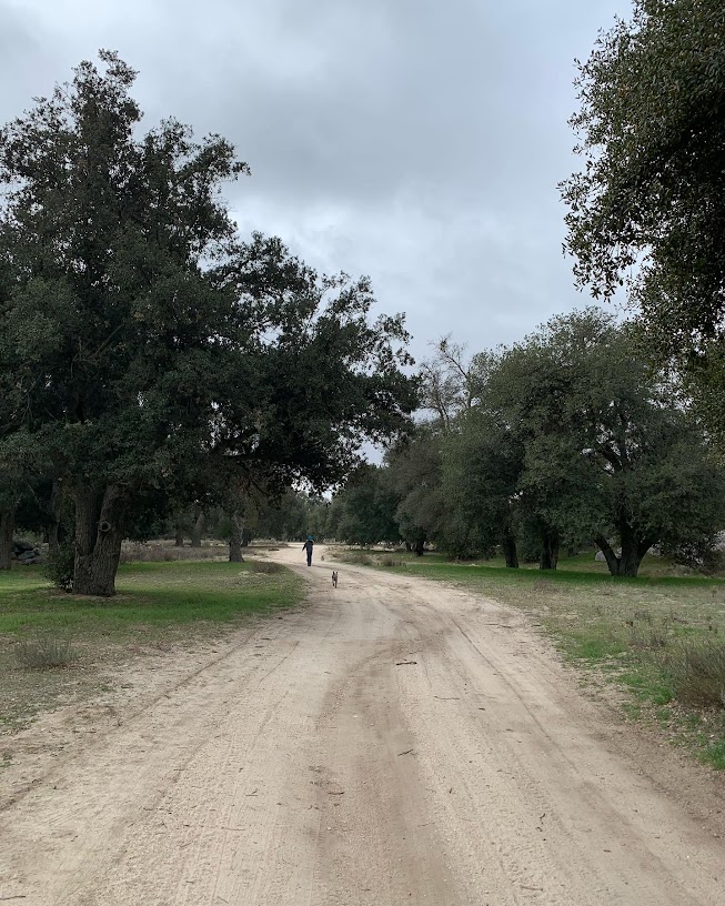 roadranch.jpg