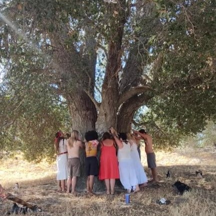 tree-meditation-ranch-2.jpeg